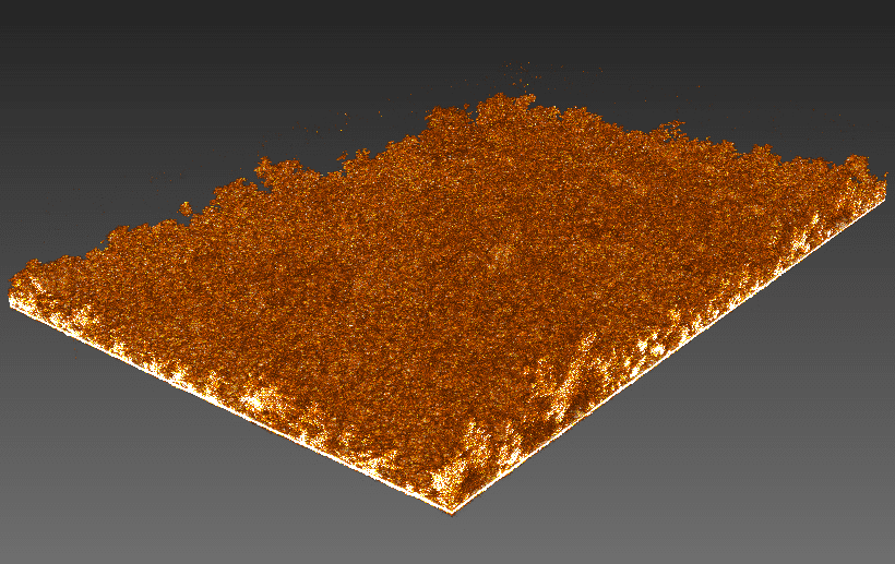 Biofilm Oberflächenstruktur