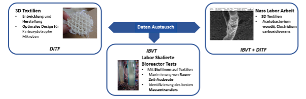 Optimierung der Gasfermentation durch Biofilme auf 3D-Textilträgern, die Mikroorganismen immobilisieren und schützen.
