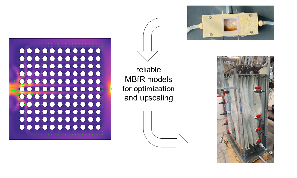 Modelle von Membran-Biofilmreaktoren zur Skalierung vom Labor zum industriellen Maßstab