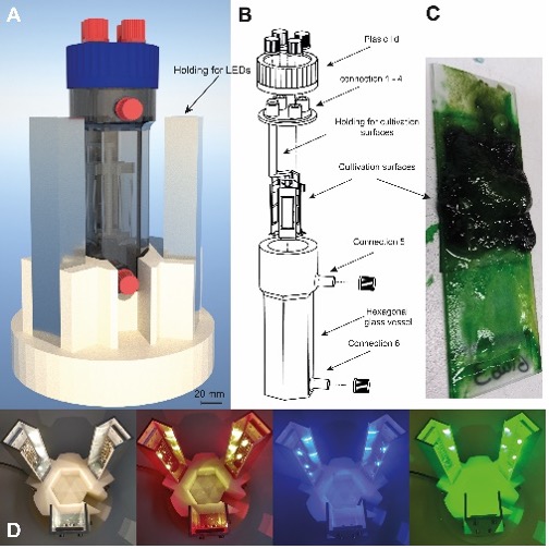 Aerosolreaktor mit Beleuchtung zur Kultivierung eines Trichocoleus desertorum Biofilms.